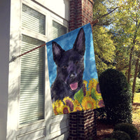 Australian Kelpie Flag Canvas House Size