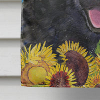 Australian Kelpie Flag Canvas House Size