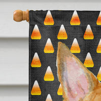 Bull Terrier Candy Corn Halloween Portrait Flag Canvas House Size