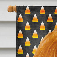 Cavalier Spaniel Candy Corn Halloween Portrait Flag Canvas House Size