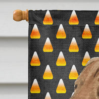 Chesapeake Bay Retriever Wheaten Candy Corn Halloween  Flag Canvas House Size