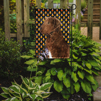 Chesapeake Bay Retriever Wheaten Candy Corn Halloween Portrait Flag Garden Size