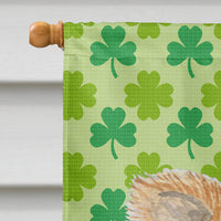 Chihuahua St. Patrick's Day Shamrock Portrait Flag Canvas House Size