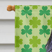 Briard St. Patrick's Day Shamrock Portrait Flag Canvas House Size