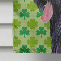 Briard St. Patrick's Day Shamrock Portrait Flag Canvas House Size