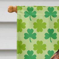 Brussels Griffon St. Patrick's Day Shamrock Portrait Flag Canvas House Size