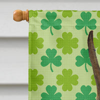 Boxer St. Patrick's Day Shamrock Portrait Flag Canvas House Size