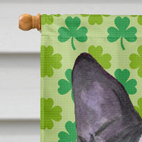 Boston Terrier St. Patrick's Day Shamrock Portrait Flag Canvas House Size