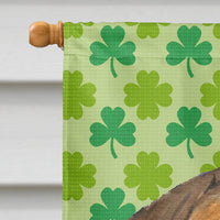 Bullmastiff St. Patrick's Day Shamrock Portrait Flag Canvas House Size