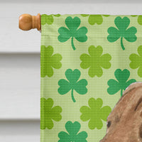 Chesapeake Bay Retriever St. Patrick's Day Shamrock  Flag Canvas House Size