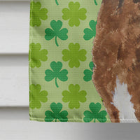 Chesapeake Bay Retriever St. Patrick's Day Shamrock  Flag Canvas House Size