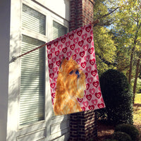 Brussels Griffon Hearts Love and Valentine's Day  Flag Canvas House Size