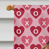 Brussels Griffon Hearts Love and Valentine's Day  Flag Canvas House Size