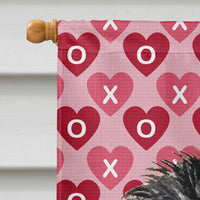 Affenpinscher Hearts Love Valentine's Day Flag Canvas House Size