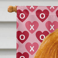 Cavalier Spaniel Hearts Love and Valentine's Day  Flag Canvas House Size