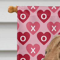 Chesapeake Bay Retriever Hearts Love and Valentine's Day  Flag  House Size