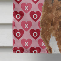 Chesapeake Bay Retriever Hearts Love and Valentine's Day  Flag  House Size