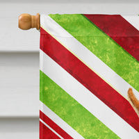 Min Pin Candy Cane Holiday Christmas Flag Canvas House Size