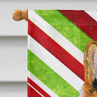 Collie Smooth Candy Cane Holiday Christmas Flag Canvas House Size