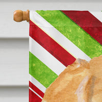 Golden Retriever Candy Cane Holiday Christmas Flag Canvas House Size