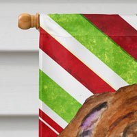 Bulldog English Candy Cane Holiday Christmas Flag Canvas House Size