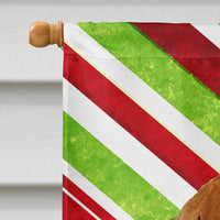 Dachshund Candy Cane Holiday Christmas Flag Canvas House Size