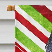 Briard Candy Cane Holiday Christmas Flag Canvas House Size