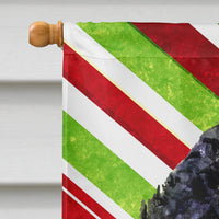 Portuguese Water Dog Candy Cane Holiday Christmas Flag Canvas House Size