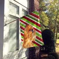 Brussels Griffon Candy Cane Holiday Christmas Flag Canvas House Size