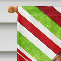 Brussels Griffon Candy Cane Holiday Christmas Flag Canvas House Size