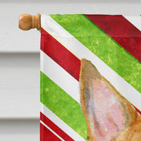 Bull Terrier Candy Cane Holiday Christmas Flag Canvas House Size