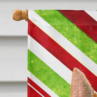 Norwich Terrier Candy Cane Holiday Christmas Flag Canvas House Size