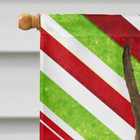 Boxer Candy Cane Holiday Christmas Flag Canvas House Size