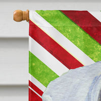 Boxer Candy Cane Holiday Christmas Flag Canvas House Size