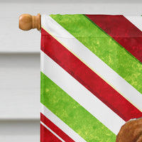 Sussex Spaniel Candy Cane Holiday Christmas Flag Canvas House Size