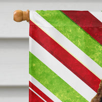 Springer Spaniel Candy Cane Holiday Christmas Flag Canvas House Size