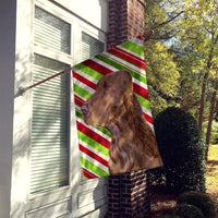 Field Spaniel Candy Cane Holiday Christmas Flag Canvas House Size