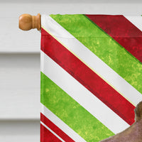 Field Spaniel Candy Cane Holiday Christmas Flag Canvas House Size