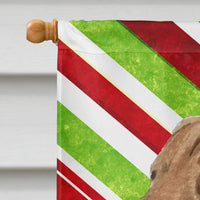 Chesapeake Bay Retriever Candy Cane Holiday Christmas Flag Canvas House Size