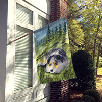 Australian Shepherd Flag Canvas House Size