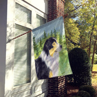 Australian Shepherd Flag Canvas House Size