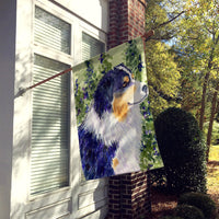 Australian Shepherd Flag Canvas House Size