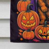 Norwich Terrier Witchy Halloween House Flag