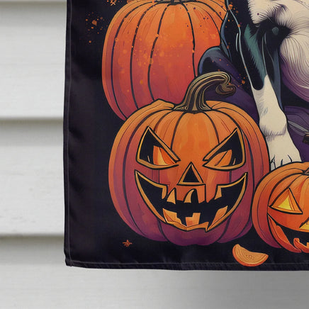 Boston Terrier Witchy Halloween House Flag