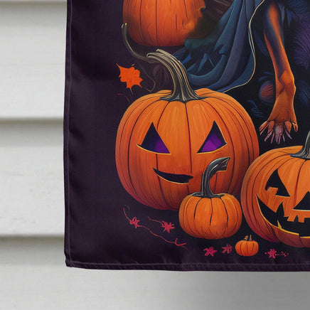 Miniature Pinscher Witchy Halloween House Flag