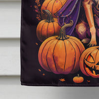 Chihuahua Witchy Halloween House Flag