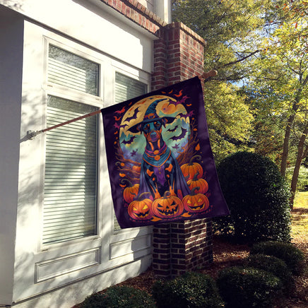 Doberman Pinscher Witchy Halloween House Flag