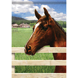 Carson Horse Ranch 46960  Carson Garden Flag 12.5" x 18" '46960 Flags